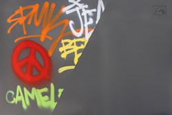 Chameleon-Decor peinture anti-graffiti (4)