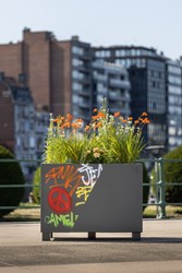 Chameleon-Decor peinture anti-graffiti (3)
