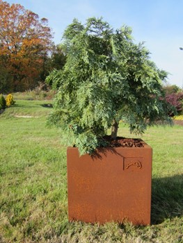 Pot de fleur corten cubique 2