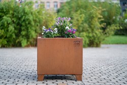 Pot de fleur public