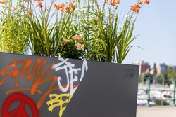 Chameleon-Decor peinture anti-graffiti (2)