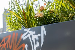 Chameleon-Decor peinture anti-graffiti